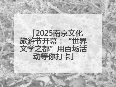 2025南京文化旅游节开幕：“世界文学之都”用百场活动等你打卡