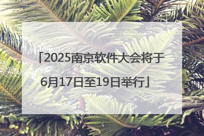 2025南京软件大会将于6月17日至19日举行