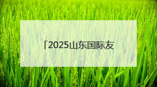 2025山东国际友城合作交流周启动