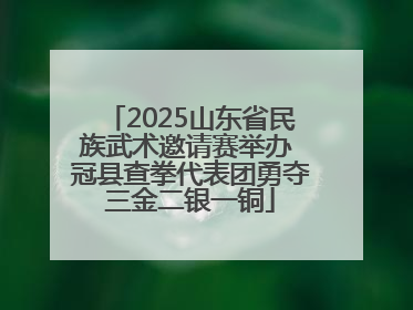 2025山东省民族武术邀请赛举办 冠县查拳代表团勇夺三金二银一铜
