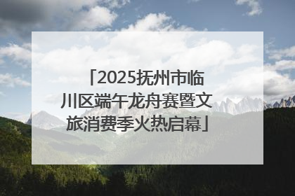 2025抚州市临川区端午龙舟赛暨文旅消费季火热启幕