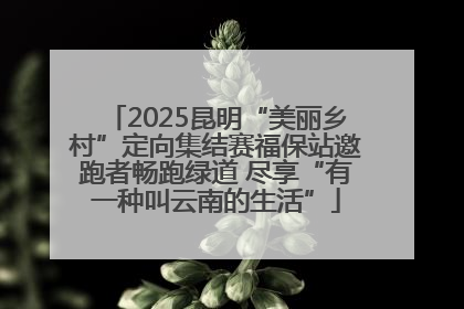 2025昆明“美丽乡村”定向集结赛福保站邀跑者畅跑绿道 尽享“有一种叫云南的生活”