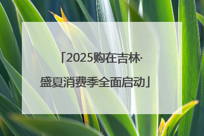 2025购在吉林·盛夏消费季全面启动
