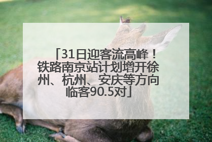 31日迎客流高峰！铁路南京站计划增开徐州、杭州、安庆等方向临客90.5对