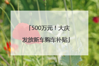 500万元！大庆发放新车购车补贴