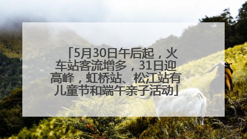5月30日午后起，火车站客流增多，31日迎高峰，虹桥站、松江站有儿童节和端午亲子活动