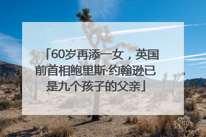 60岁再添一女，英国前首相鲍里斯·约翰逊已是九个孩子的父亲