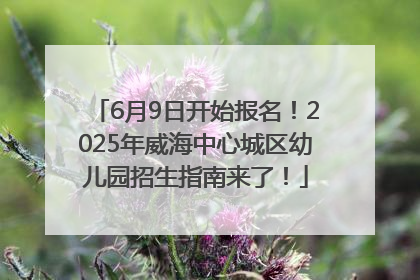 6月9日开始报名！2025年威海中心城区幼儿园招生指南来了！