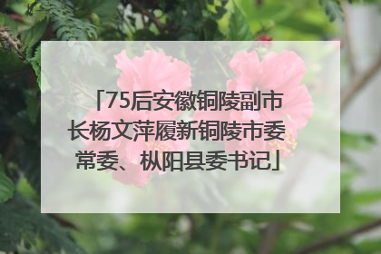 75后安徽铜陵副市长杨文萍履新铜陵市委常委、枞阳县委书记