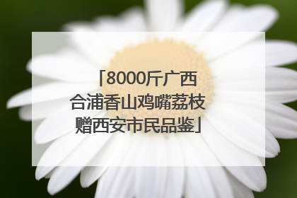 8000斤广西合浦香山鸡嘴荔枝赠西安市民品鉴