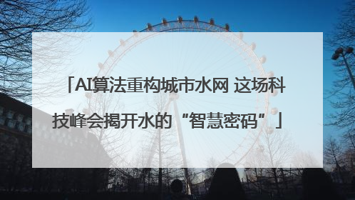 AI算法重构城市水网 这场科技峰会揭开水的“智慧密码”