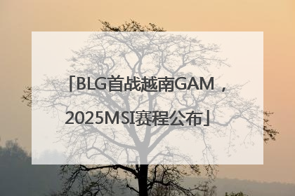 BLG首战越南GAM，2025MSI赛程公布