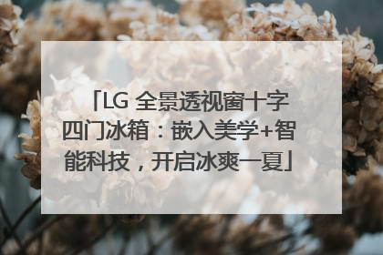 LG 全景透视窗十字四门冰箱：嵌入美学+智能科技，开启冰爽一夏