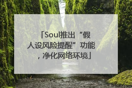 Soul推出“假人设风险提醒”功能，净化网络环境